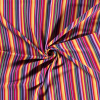 Aztec Jacquard Stripe Fabric | Rainbow