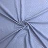 Double Gauze Baby Cloth | Star Pale Blue