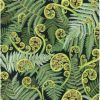 Extra Wide Fabric | Koru Frond Green