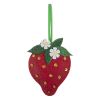 Felt Kit | Strawberry
