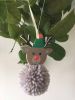 Pom Pom Decoration Kits | Reindeer