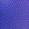 PU Printed Raincoat Fabric | Spots Royal
