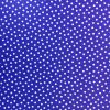 PU Printed Waterproof Raincoat Fabric | Spots Royal