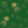 Stitch It, Festive Sparkle Fabric | Dusty Bauble Green