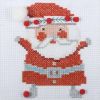 Fun Counted Cross Stitch Kit | Santa
