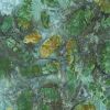 Robert Kaufman Fabric | Artisan Batiks - Midnight Owls 22843-476