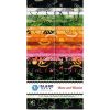Island Batik Fabric Strip Pack | Bees And Hexies