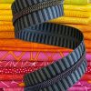 Sassafras Lane Zipper #5, 3 Yards | Wide Black & Grey Stripe Tape, Rainbow Teeth