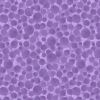 Lewis & Irene Bumbleberries Fabric Essentials | Classic - English Lavender