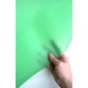 Sassafras Lane Jelly Vinyl Fabric | Green