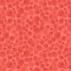 Bumbleberries Fabric Essentials | Classic - Polynesian Coral