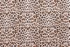 Double Gauze Fabric | Cheetah