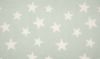 Super Soft Fleece | Star Light Mint