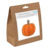 Needle Felting Kit | Pumpkin