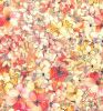 Cotton Lawn Digital Print | Floral Design