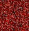 Stitch It Metallic Christmas Fabric | Multi Star Red