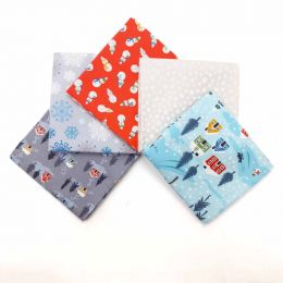 Snow Day Flannel Lewis & Irene | Fat Quarter Pack 1