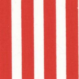 Classic Stripe Fabric | Red