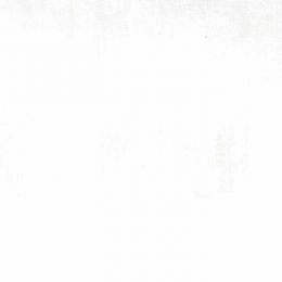 Moda Fabric Grunge | White Paper