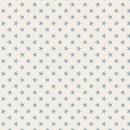 Tilda Classics Fabric | Tiny Star Light Blue
