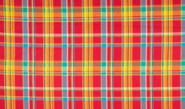 Madras Check Fabric | Red