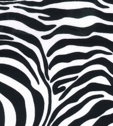 Cotton Print Fabric | Zebra Print