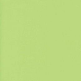 Moda Fabric Bella Solids | Amelia Green