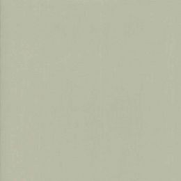 Moda Fabric Bella Solids | Flax