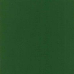 Moda Fabric Bella Solids | Basil