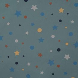 Soft Shell Fleece Fabric | Stars & Dots Dusty Mint