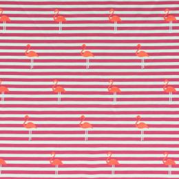 Jersey Cotton Rich Fabric | Flamingo Pink