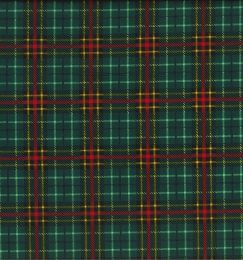 Christmas Fun Fabric | Tartan Green