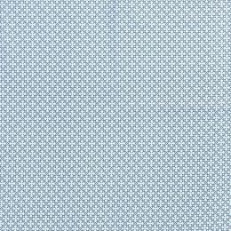 Cotton Print Fabric | Mesh Sky Blue