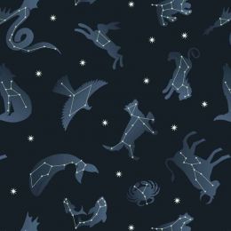 Space Glow Lewis & Irene Fabric | Constellations Dark Glow