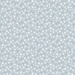 Special Delivery Lewis & Irene Fabric | Stars Blue