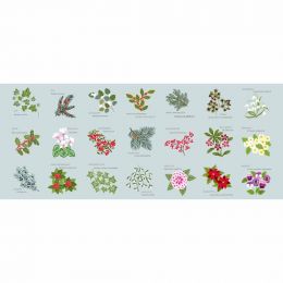 Winter Botanical Lewis & Irene | 5 Inch Squares With Pearl