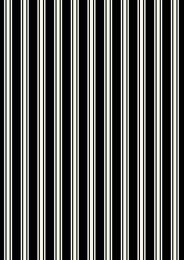 Witchy Woods Lewis & Irene Fabric | Terrifying Ticking Stripe Black
