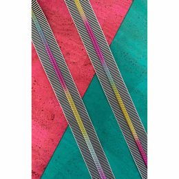 Sassafras Lane Zipper #5, 3 Yards | Black Stripe Tape, Rainbow Teeth