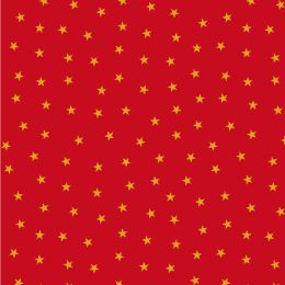 Christmas In Bluebell Wood Lewis & Irene | Gold Stars Red