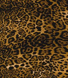 Cotton Print Fabric | Leopard