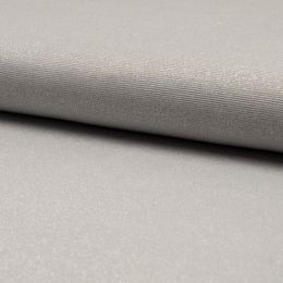 Sparkling Viscose Jersey Fabric | Silver Grey