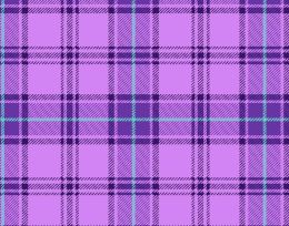 American Touch Flannel | Plaid Purple