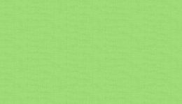 Linen Texture Fabric | Pistachio