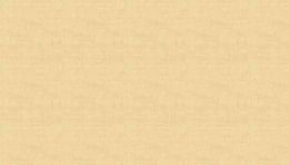 Linen Texture Fabric | Straw