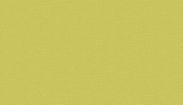 Monsoon Fabric | Dotty Green