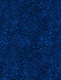 Soda Pop Fabric | Blue Raspberry